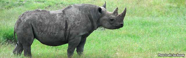Fossil Rim Wildlife Center